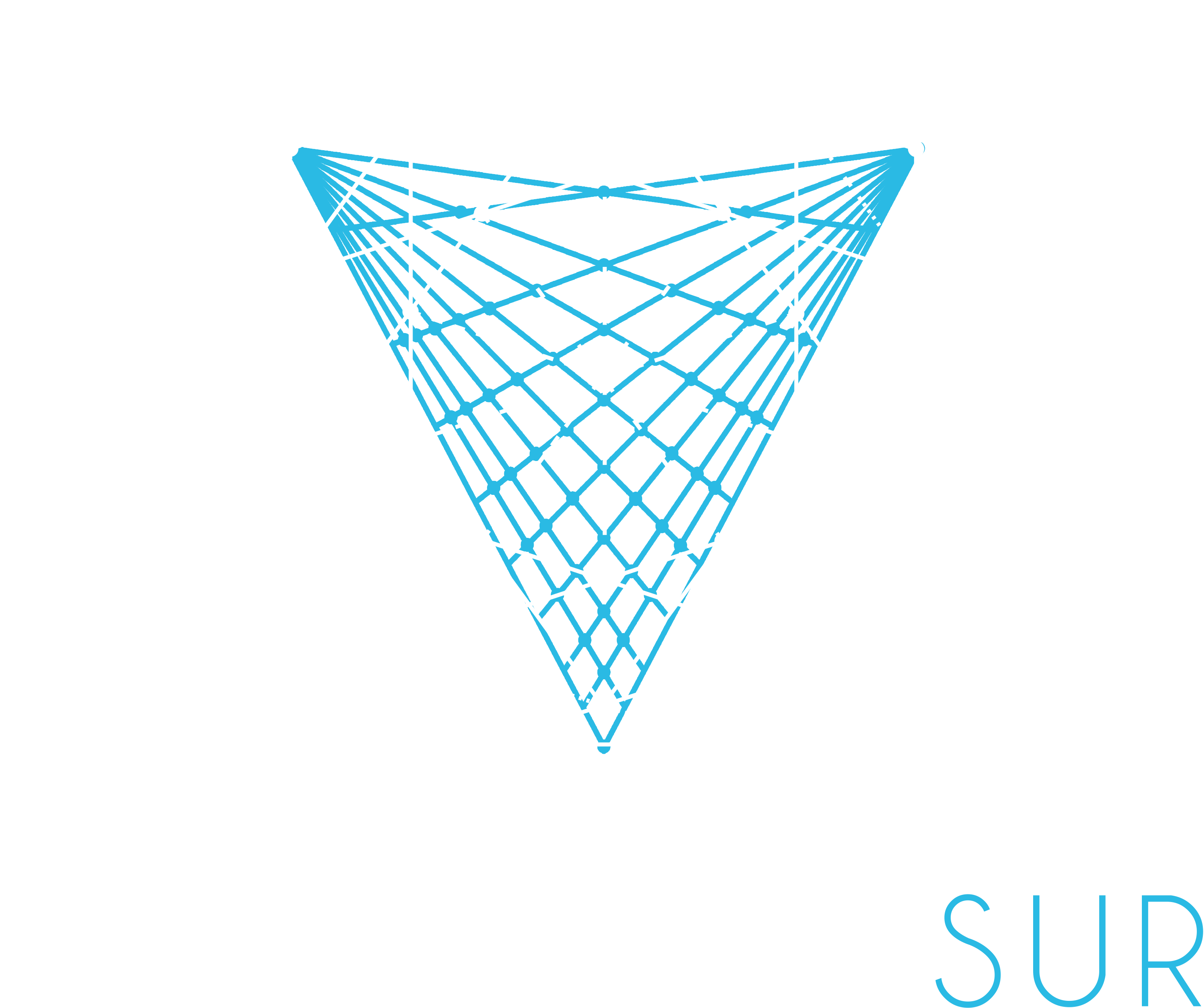 Logo La luz del Sur